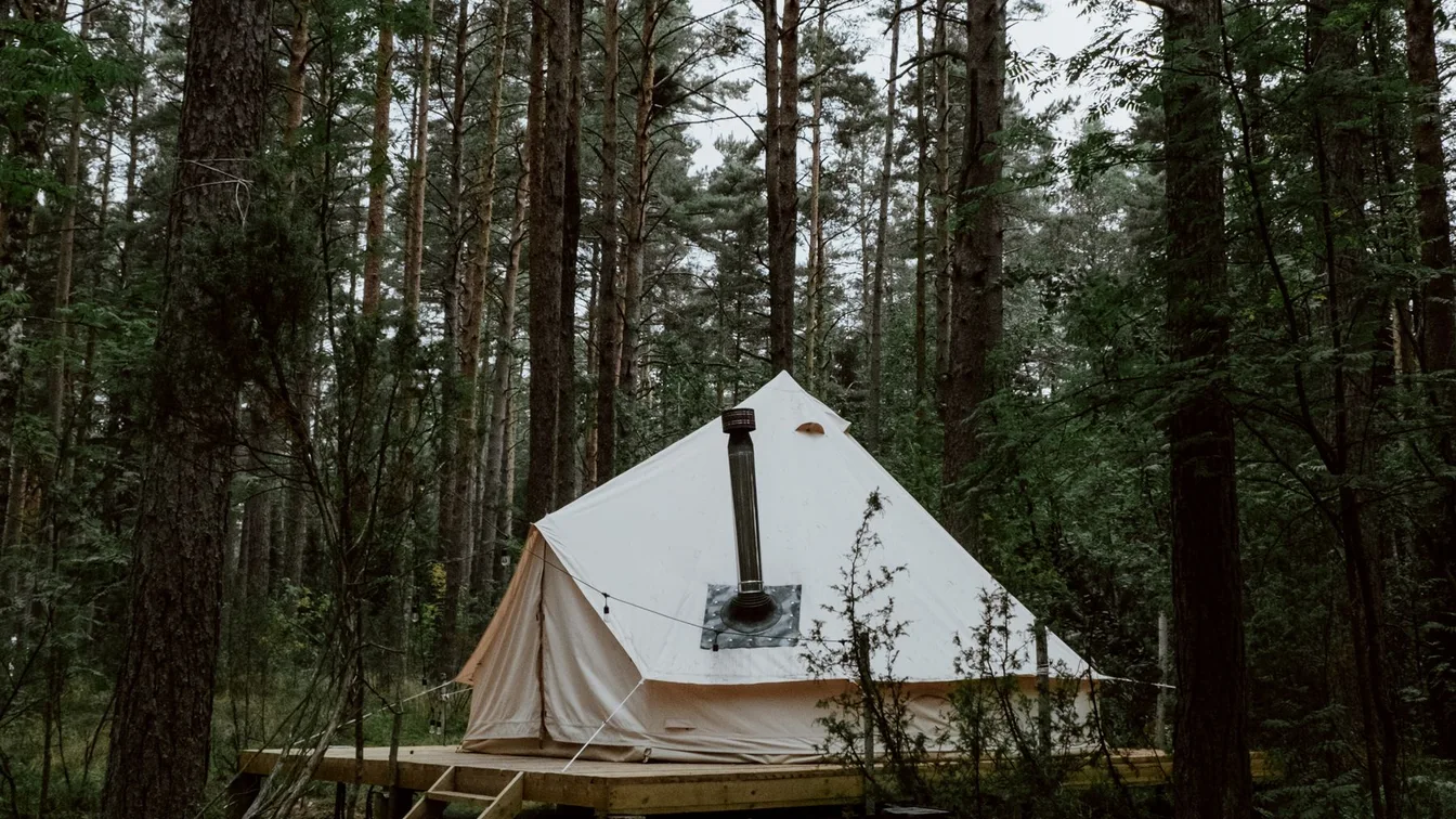 A quiet canvas bell tent on a platform amid ferns in a forest