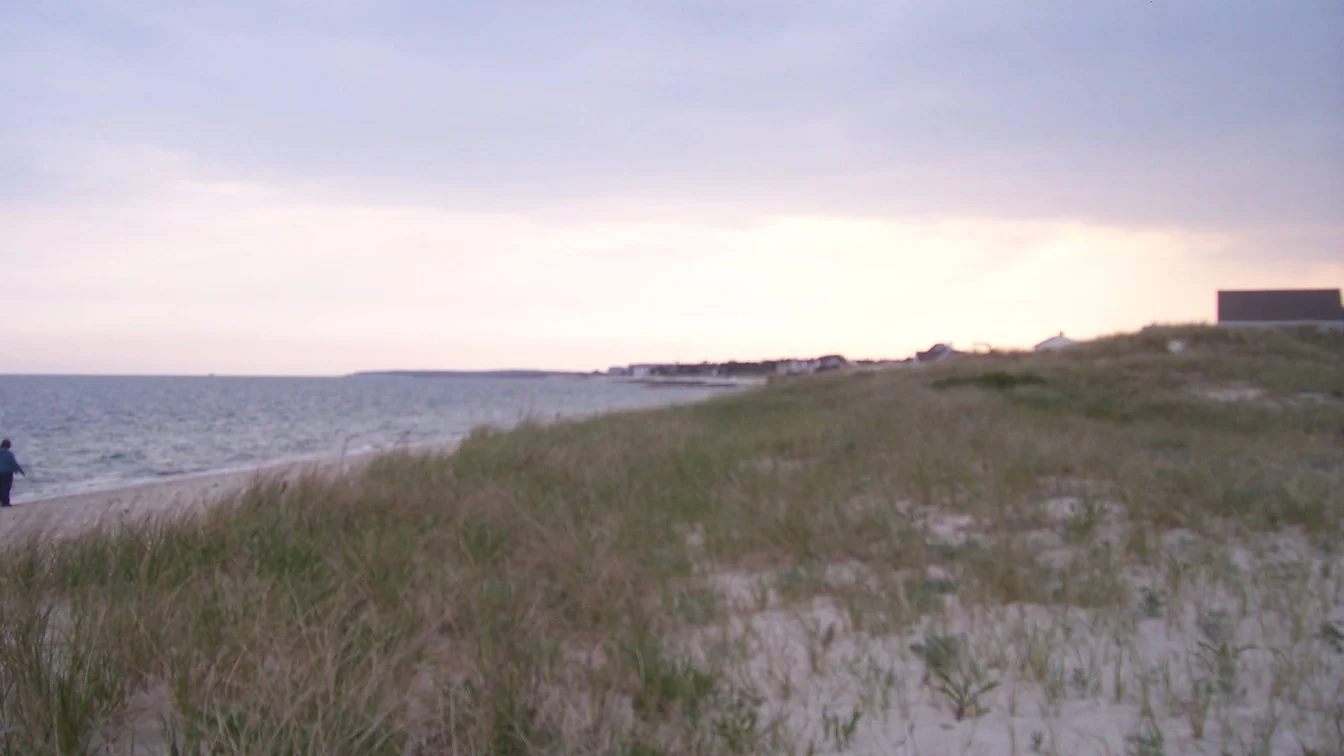 Coastal beach and dunes beside Lewis Bay on Cape Cod