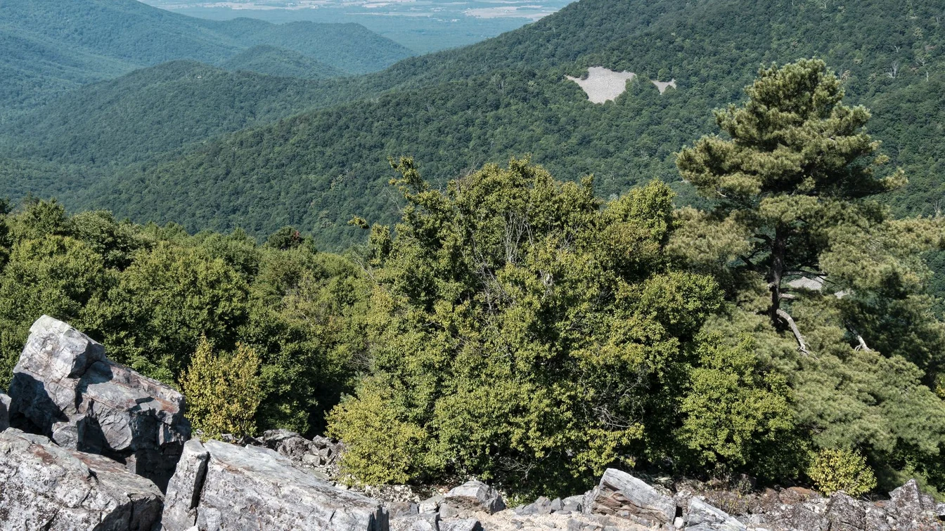 Blue Ridge mountain landscape from Blackrock Summit in Shenandoah National Park