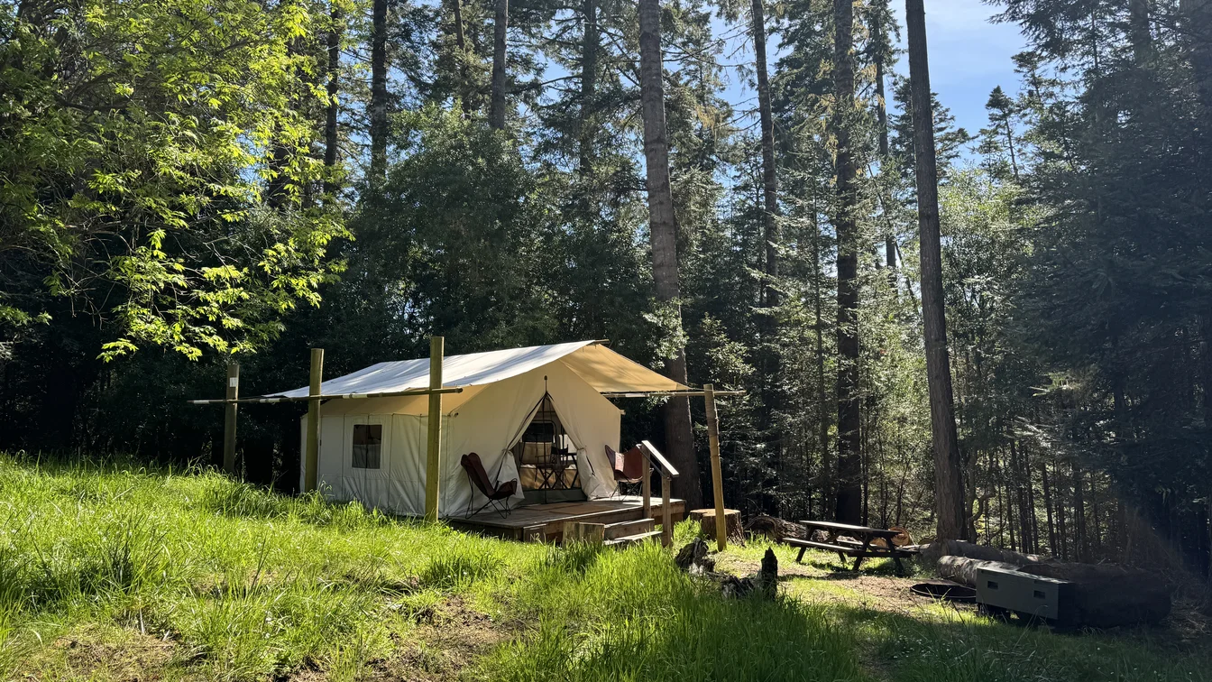 A canvas tent among the trees at Mendocino Grove.