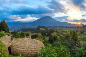 Volcanoes National Park | Bisate Lodge Rwanda